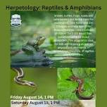 Herpetology: Reptiles & Amphibians