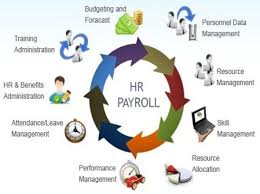 Benefits Of Hrd And Payroll System Development In Textile Industry Human Resource Management System Payroll Software Best Accounting Software
