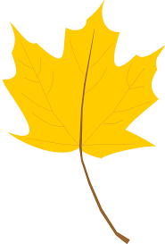 The leaf's toothed outline has deep and shallow cuts. Yellow Leaves Drawing Free Image Download