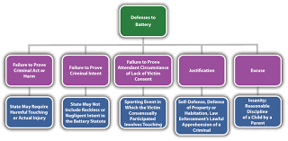 10 2 Assault And Battery Criminal Law