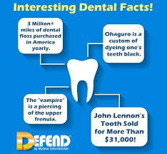 The editors of publications international, ltd. 13 Interesting Dental Facts Dental Supplies Defend