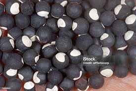 Image result for Cardiospermum