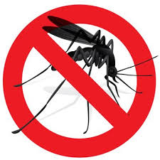 We service everything from large management companies (high rise and garden apartment complexes), top of the line hotels to single family homes and apartments both in cities and small towns. A3 Superior Pest Control 432 Us 206 A Montague Nj Pest Control Mapquest