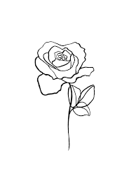 Pin By Megan Mullins On Art Ideas Flower Line Drawings Rose Line Art Line Art