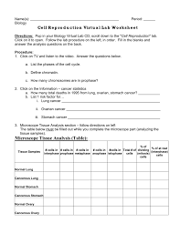 Mitosis lab answer key getting started these questions are the character of photosynthesis virtual lab worksheet answer key in studying. Name S