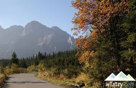 Lato Z Widokiem Na Gory Natural Landmarks Landmarks Nature