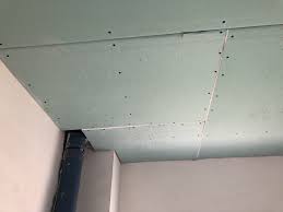 Je nach art und menge der schimmelpilze können schäden an der einrichtung und an der bausubstanz entstehen. Gipskartonplatte Grun Schimmel