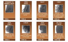Twists differ in caliber and type (hanging loosely twists and flat twists plaited close to the scalp like cornrows) there are also senegalese twists, havana twists, marley twists, kinky twists. Hair Types Hair Typing Systems And You Hair Type Chart Black Hair Types Natural Hair Types