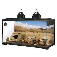 All Living Things Desert Kit Reptile Terrariums Petsmart Reptile Terrarium Reptile Tank Reptiles
