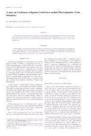 Image result for Combretum mkuzense