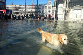 pictures venice