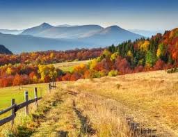 Paysage D Automne Colore Dans Les Montagnes Paysage Automne Paysage Paysage Automnal