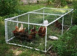 put your chickens to work with a simple chicken tractor chickenhouses kumes tavukculugu kumes kulucka