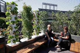 People Will Soon Be Able To Forage For Free Food In This Floating Forest Free Food Edible Garden Forest