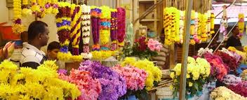 We did not find results for: Going Colonial V The Malay Experience Luxury And Boutique Hotels