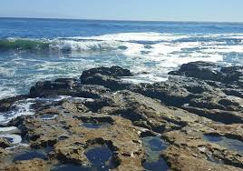 Maybe you would like to learn more about one of these? Natural Bridges State Beach Day Trip A Perfect Place For Families