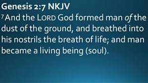 Image result for genesis 2 7