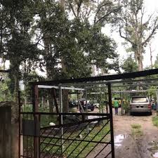 Reban ayam pedaging sistem terbuka di kg lentang, dungun, terengganu. Sewa Pengambilalihan Ladang Ternakan Tanaman Property Rentals On Carousell