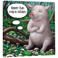 4.5 out of 5 stars. Tree Free Greetings Ecoart Home Decor Wall Plaque 11 25 X 11 25 Inches Pig In Shitakes Themed Animal Art 85540 Plaques Home Kitchen Starattestation Com