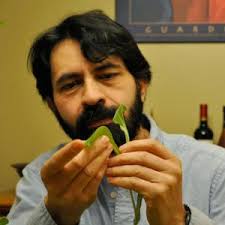 LANASE: Laboratorio Nacional de Análisis y Síntesis Ecológica