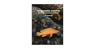 Image result for Tetradenia tanganyikae