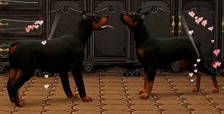 As always with the sims 4, modders went to work and discovered that there was code allowing for playable pets, but it was … Sex With Pets Bestiality And Pets Woohoo Mod Page 4 Request Find The Sims 4 Loverslab