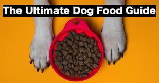Maybe you would like to learn more about one of these? The Best Dog Food Brands For 2021 Dog Food Network