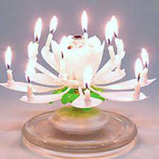 Amazing Musical Lotus Flower Birthday Candle Ships From Usa Trophy Happy Birthday Candles Birthday Candles Birthday Flowers