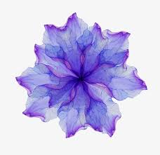 Large collections of hd transparent purple flower png images for free download. Watercolor Blue And Purple Transparent Flowers Watercolor Clipart Blue Flower Flowers Png Transparent Clipart Image And Psd File For Free Download Blue And Purple Flowers Transparent Flowers Floral Watercolor