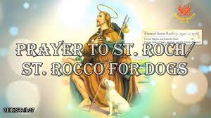 $35.00 for a pack of 100. Prayer To St Roch For Dogs Youtube