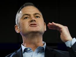 Holmes a Court 'bullied me to drop out of seat'