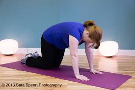 Find relief with yoga using a cat to cow pelvic tilt. Benefits Of Cat Cow Yoga Poses During Pregnancy Oh Baby Fitness