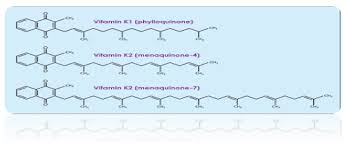 Тидного лиганда и других групп атомов). Significant Influence For Vitamin K On Different Metabolic Diseases According To Positive Effect On Levels Of Both Vitamin D And Calcium