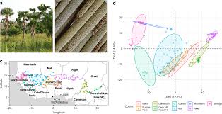 Bantu jawab dan dapatkan poin. Pearl Millet Genomic Vulnerability To Climate Change In West Africa Highlights The Need For Regional Collaboration Nature Communications