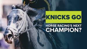 Knicks go is by a fan favorite stallion, paynter and happens to be maryland bred. Knicks Go Is Brad Cox S Breeders Cup Dirt Mile Winner Horse Racing S Next Pegasus World Cup Champ Youtube