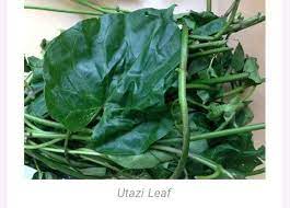 Over the years there has been a problem with the keep ability of these beers. Health Gain Of Utazi Leaves Donplato