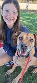 Attended the Sunday hike today, 1/12/25. Alissa walked with Tesla (blond  chi). Nancy walked Buddy (Boston terrier). I was accompanied by Mississippi  (gray cuteness)! Great walking companions (dogs & people)! Missi  (Mississippi)