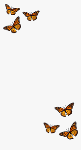 Find the perfect blue monarch butterfly stock illustrations from getty images. Filter Butterfly Orange Black Aesthetic Monarch Butterfly Hd Png Download Transparent Png Image Pngitem