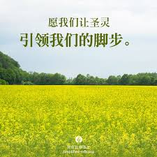 对于这笔 生命的投资 我们无需担忧其报酬率 因为投资在上帝的国度里 保证会得到无可比拟的回报 投资金融市场 我们的目标是获取最大的金钱回报 但投资在上帝的国度 我们的回报便不是以金钱来衡量 我们得到的是因认识上帝的喜乐 从今时到永远 愿我们都能与人分享