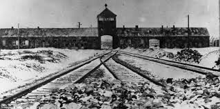 L'associazione progetto memoria è un esempio di impegno intergenerazionale, nata per non dimenticare la storia e le storie della shoah. Libri Per Il Giorno Della Memoria Blog Dea Planeta Libri
