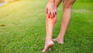 Prevent them from getting the signs of mosquito infestation are very similar to the signs of an ordinary bite. Identifying Common Insect Bites And Stings Sentinel Blog
