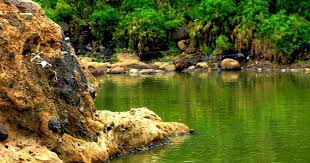 Selain 2 gambar pemandangan alam hd di atas, kami masih memiliki koleksi lainnya di bawah ini. Download Video Pemandangan Alam Terindah Di Dunia Download Video Pemandangan Alam Terindah Di Dunia Pemandangan Alamhttp Pemandanga Pemandangan Pedesaan Alam