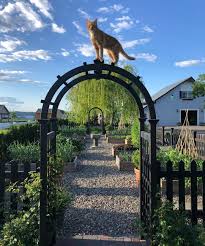 Guardian Over All Potager Tropical Chat