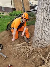 High quality service · affordable pricing · fast response Boulder Co Tree Service Lawn Care Certified Arborist Savatree