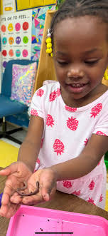 Sowing Seeds Academy-Varina