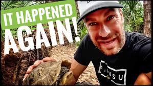 Another WILD Elongated Tort Found!