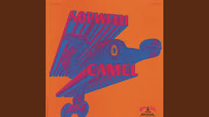 Coke, suede and waterbeds · sopwith camel. The Things That I Could Do With You Sopwith Camel Shazam