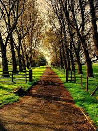 Pin By Mari Smith On Inspiring Images Country Roads Country Roads Take Me Home The Great Outdoors