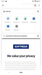 Android webview is a system component powered by chrome that allows android apps to display web content. Bromite System Webview 77 0 3865 81 Apk Download