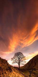 Pin On Beautiful Pictures